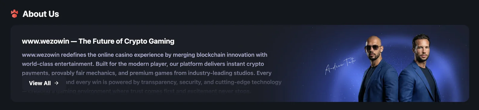 Wezowin casino About Us section featuring Tate brothers and a fake crypto gaming pitch